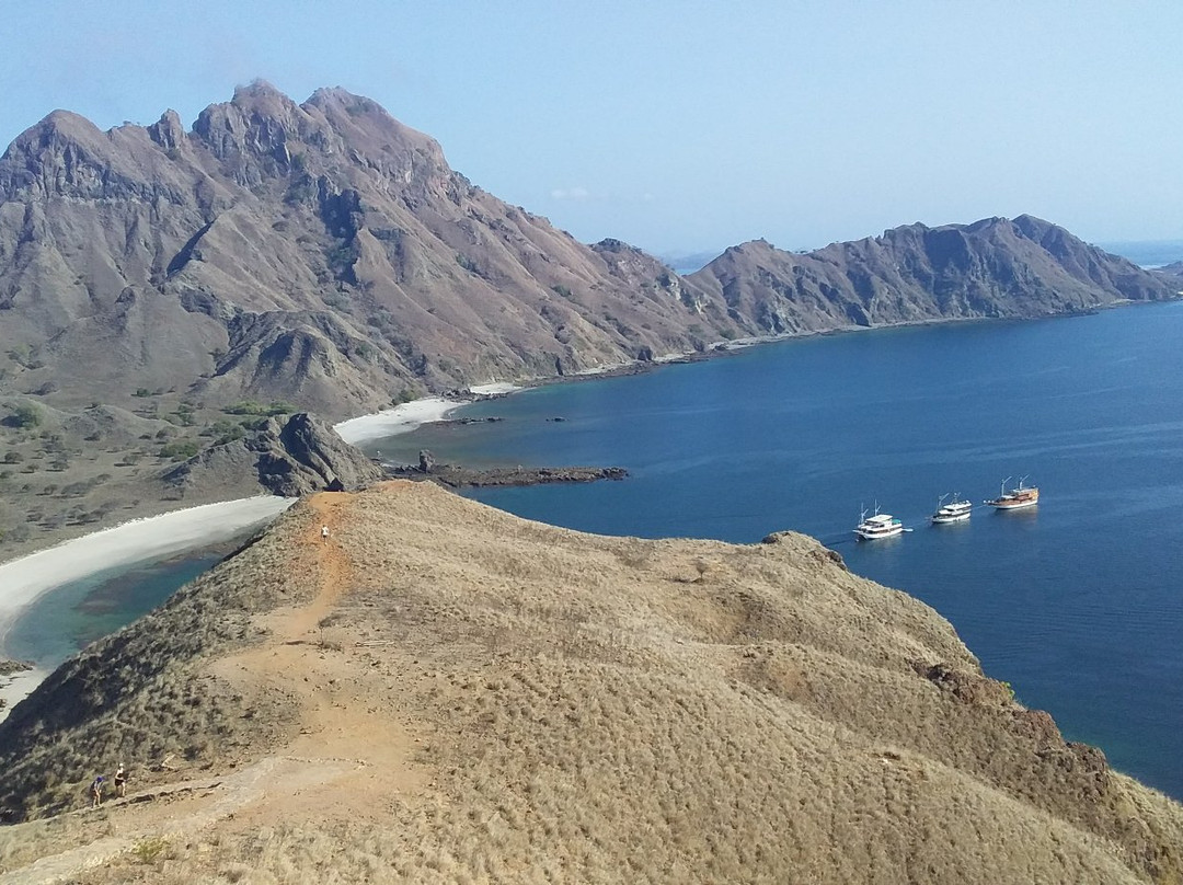 Komodo Tour Center景点图片
