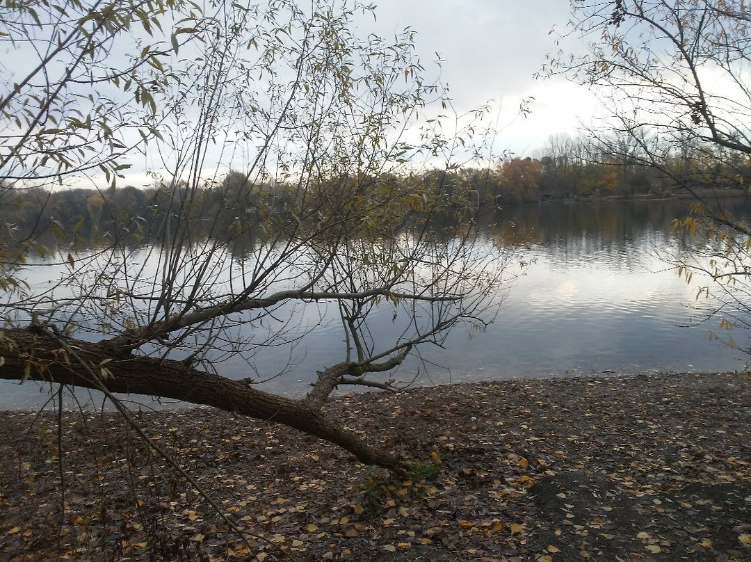 Hotel Restaurant Seerose Ug主图