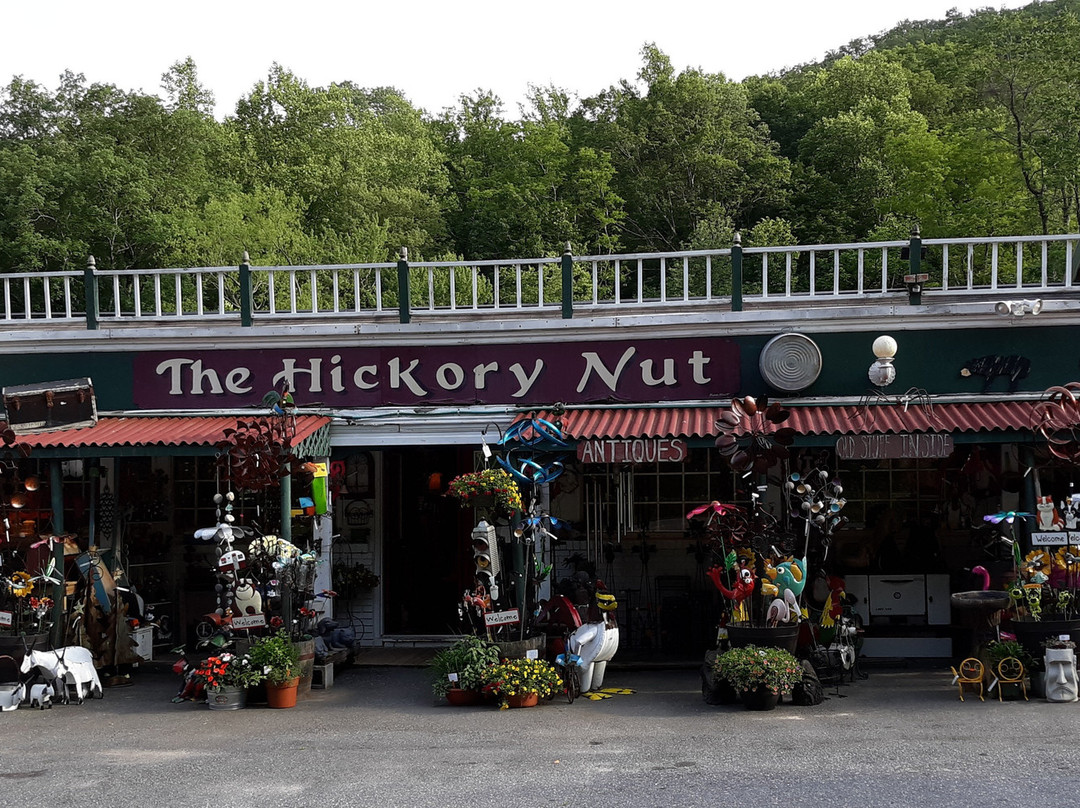 The Hickory Nut景点图片
