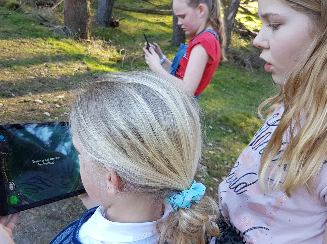 The Nature Game-Spier必去景点