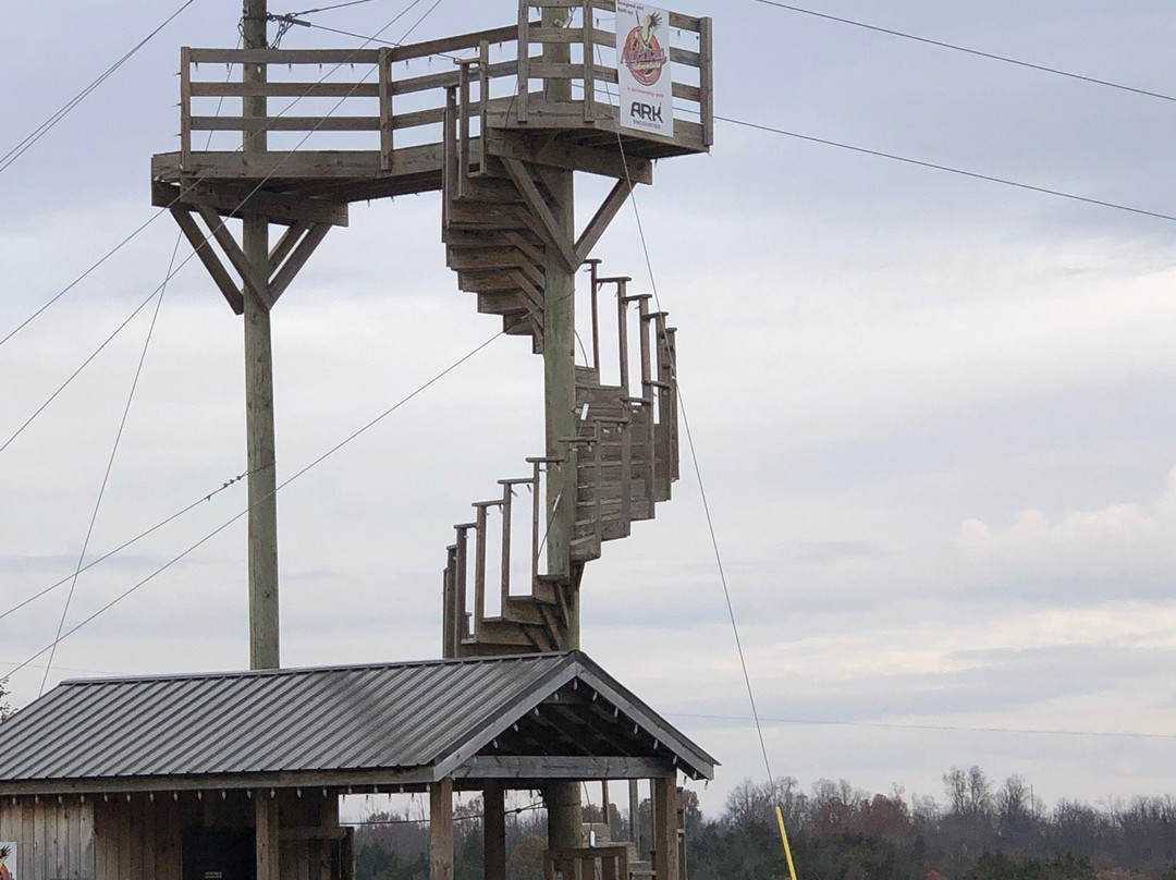 Screaming Raptor Zip Lines-Petersburg必去景点
