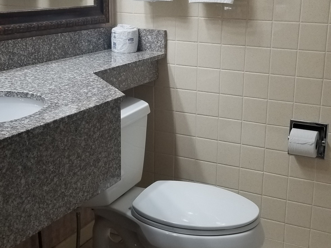 Days Inn by Wyndham Niles主图