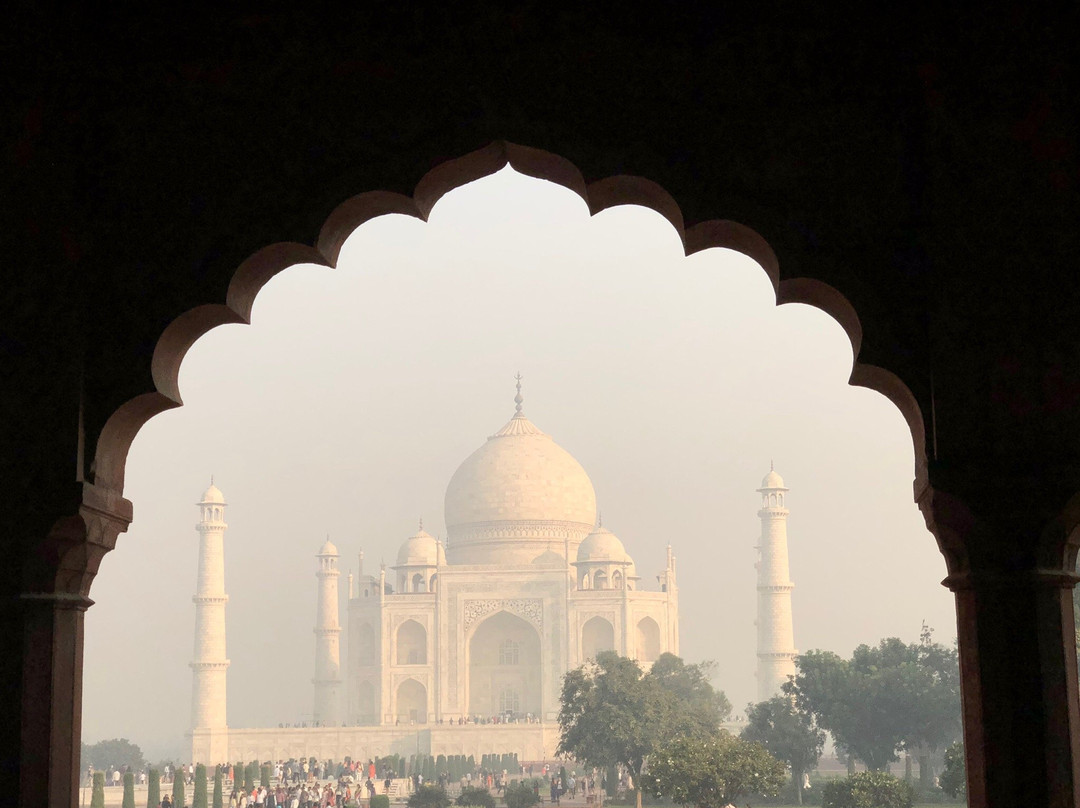 Book My Tours India景点图片