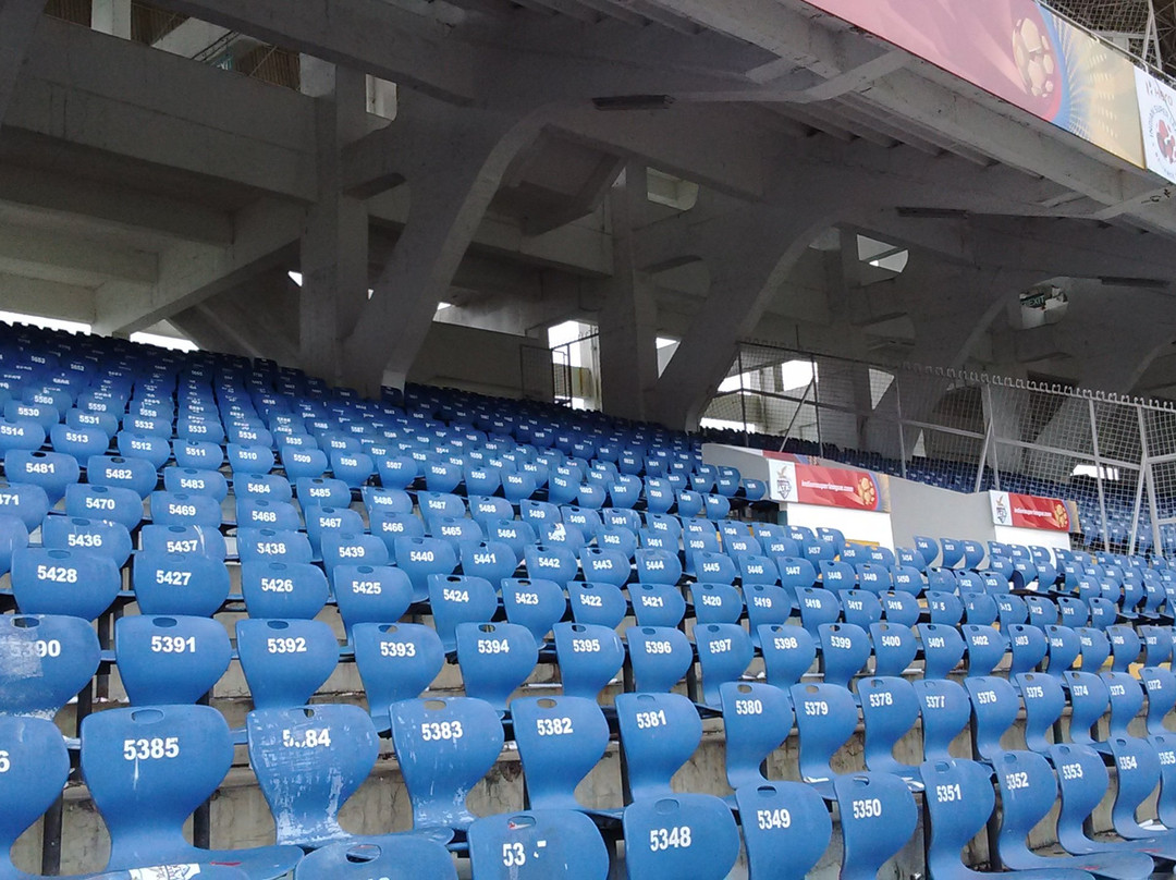 Vivekananda Yuba Bharati Krirangan (Salt Lake Stadium)景点图片