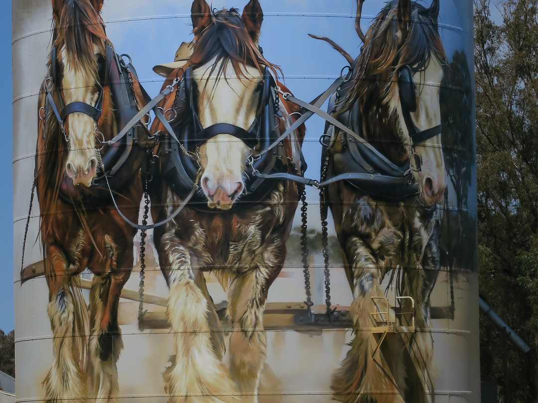 Goorambat Silo Art-Goorambat必去景点