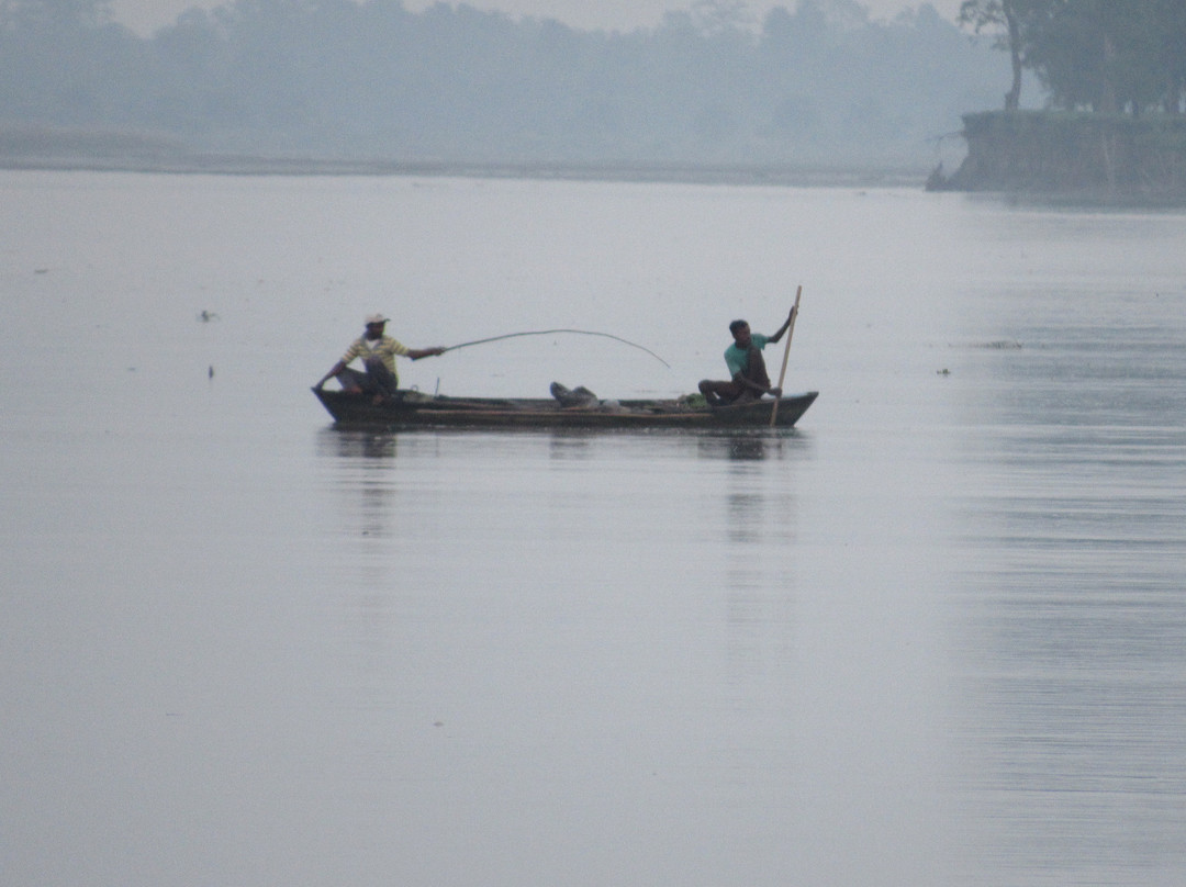 Dibru Saikhowa National Park景点图片