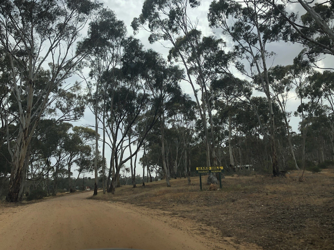 Hard Hill Tourist Reserve-Wedderburn必去景点