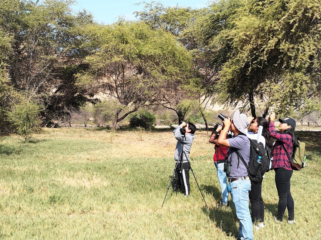 RUNA turismo-奇克拉约必去景点
