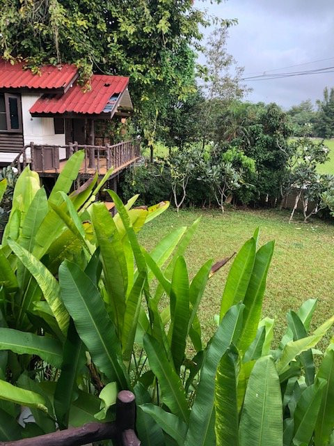 Flow Yoga CNX House主图