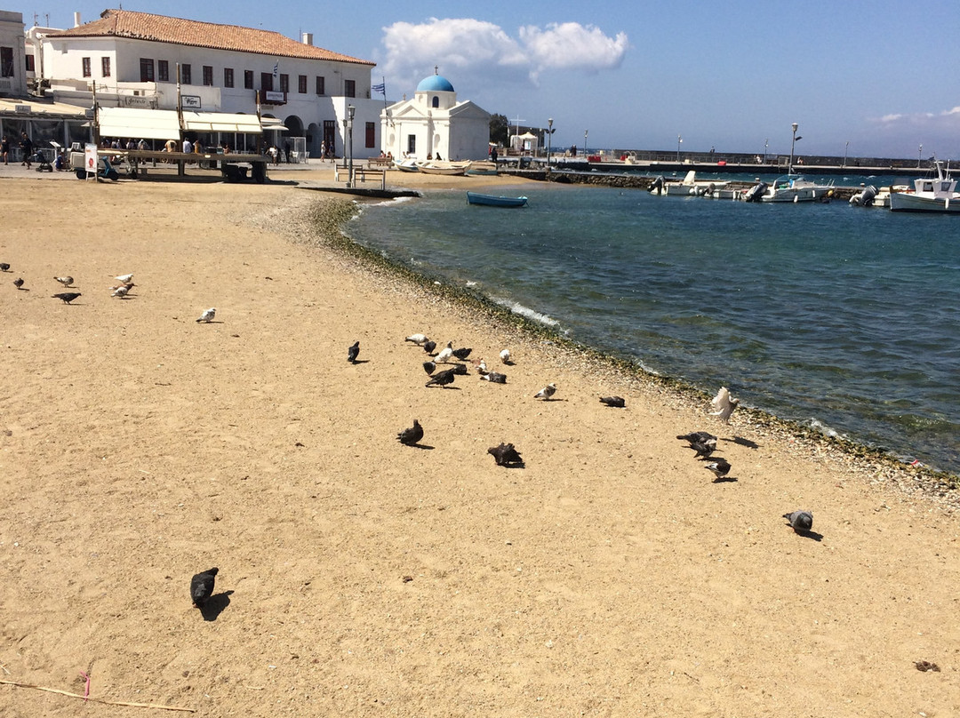 Old Port Beach景点图片