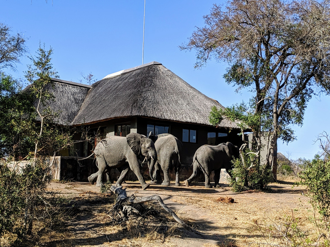 阿拉修萨野生动物园酒店主图