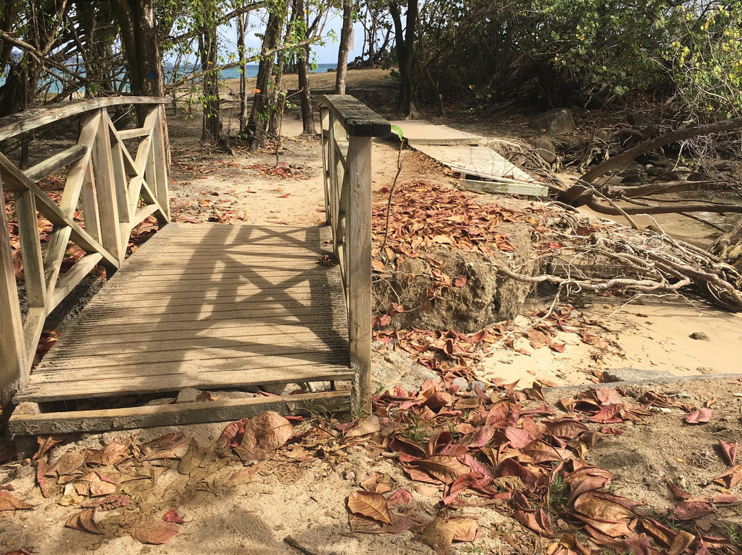 Gros Raisin-圣吕斯必去景点