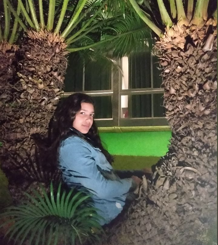 Villa Hipica Resort主图