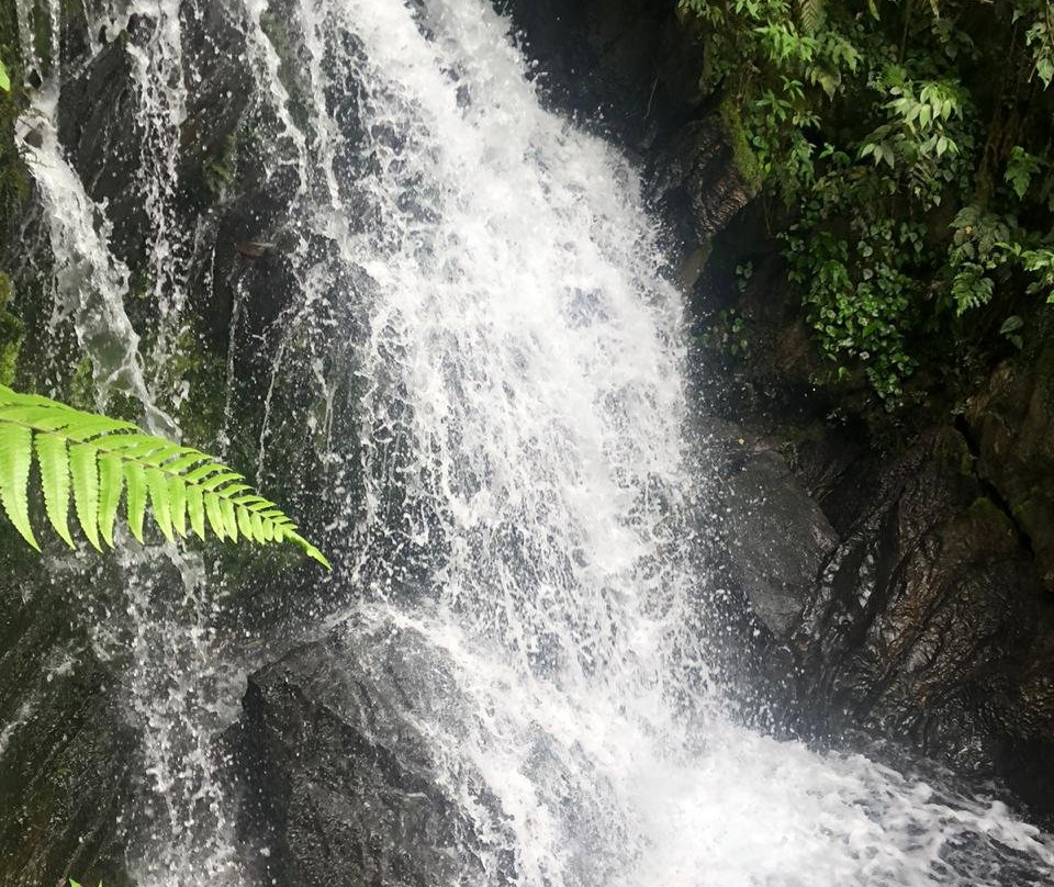Caverna Alambari de Baixo-伊波兰加必去景点