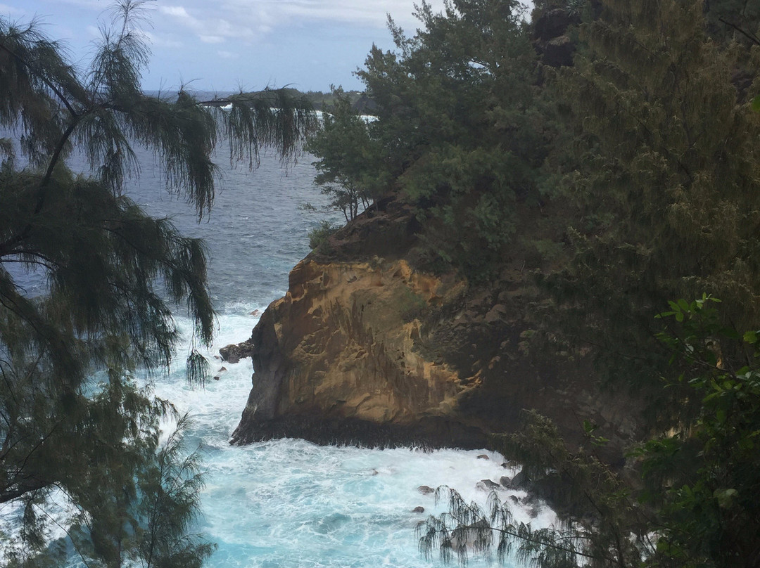 Le Cap Jaune景点图片