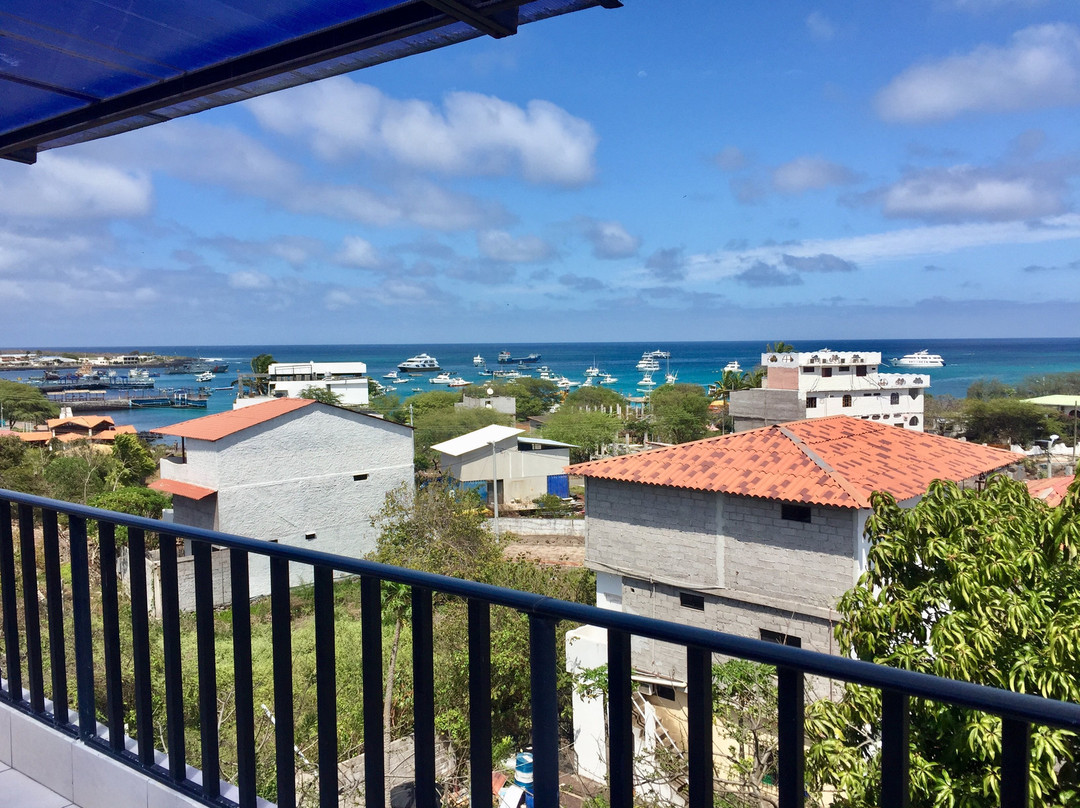 Dolphin House Hostal主图