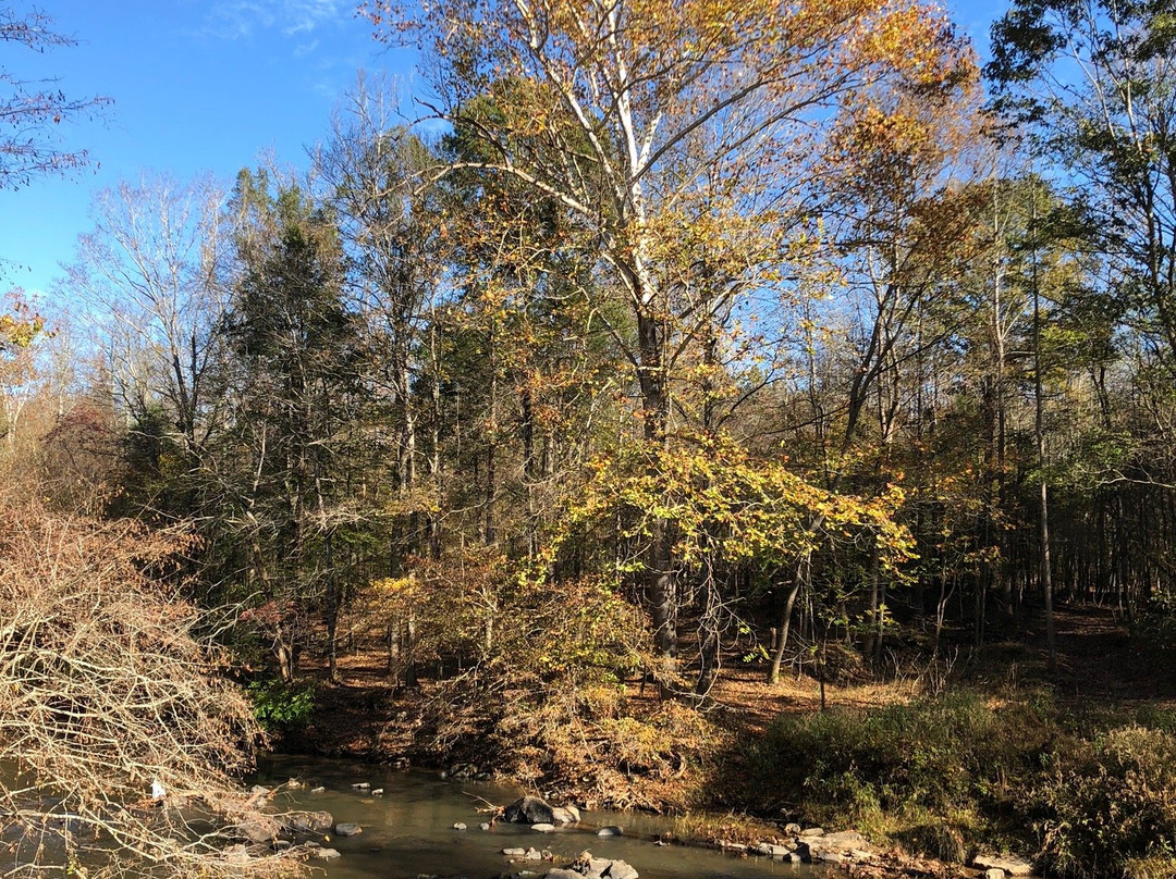 Eno River State Park景点图片