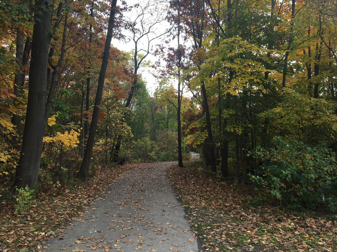 Etobicoke Valley Park-多伦多必去景点