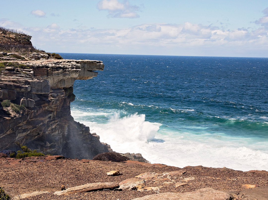 Curra Moors Track-Royal National Park必去景点