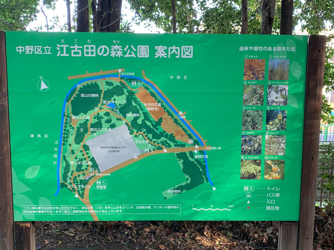 Egota-no-Mori Park-中野区必去景点