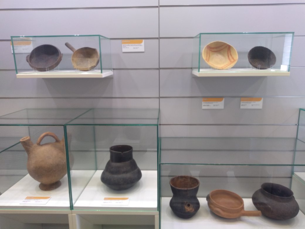 Federal University of Parana Museum of Archaeology and Ethnology-巴拉那瓜必去景点