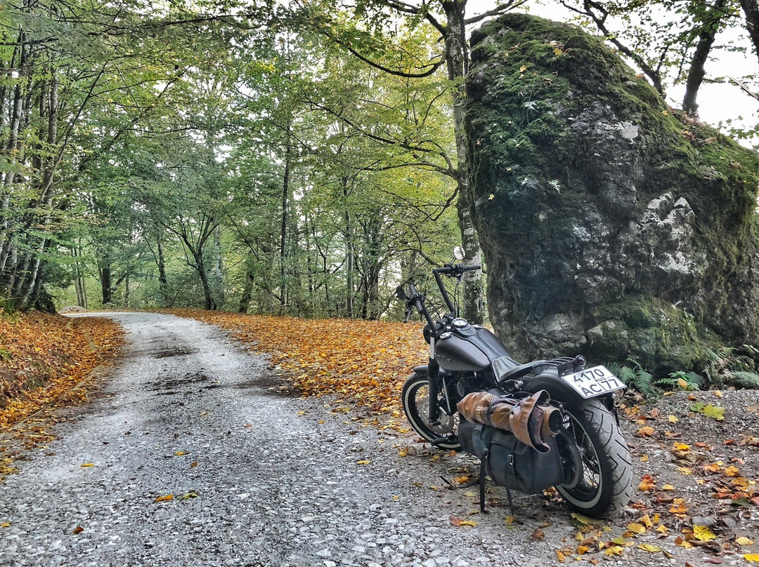 Solohaul Park景点图片