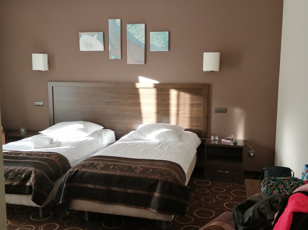 Hotel Zimnik Luksus Natury主图
