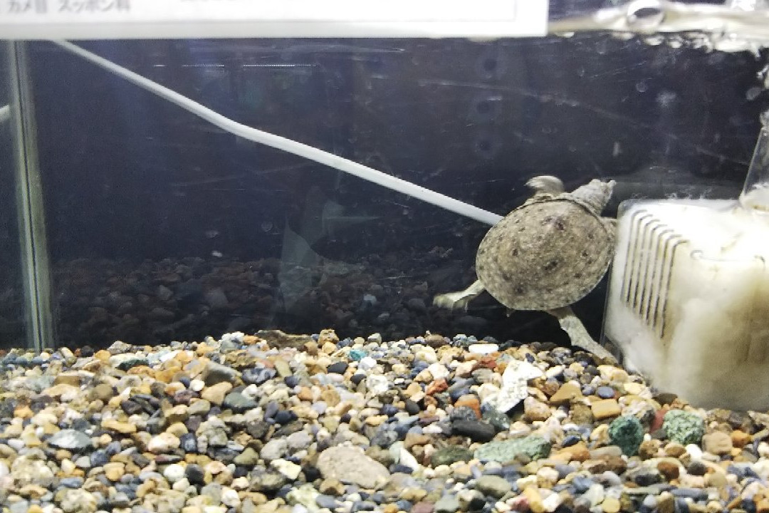 Aqua Tojo-加东市必去景点