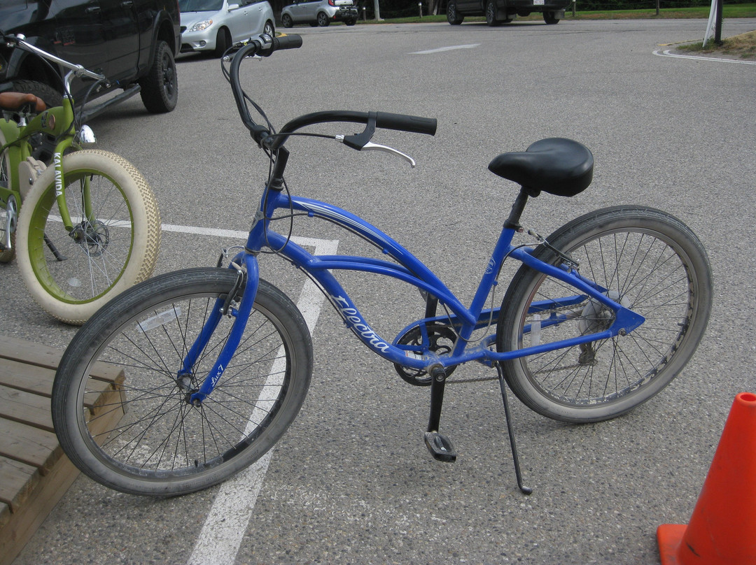 Kalavida Surf Shop-弗农必去景点