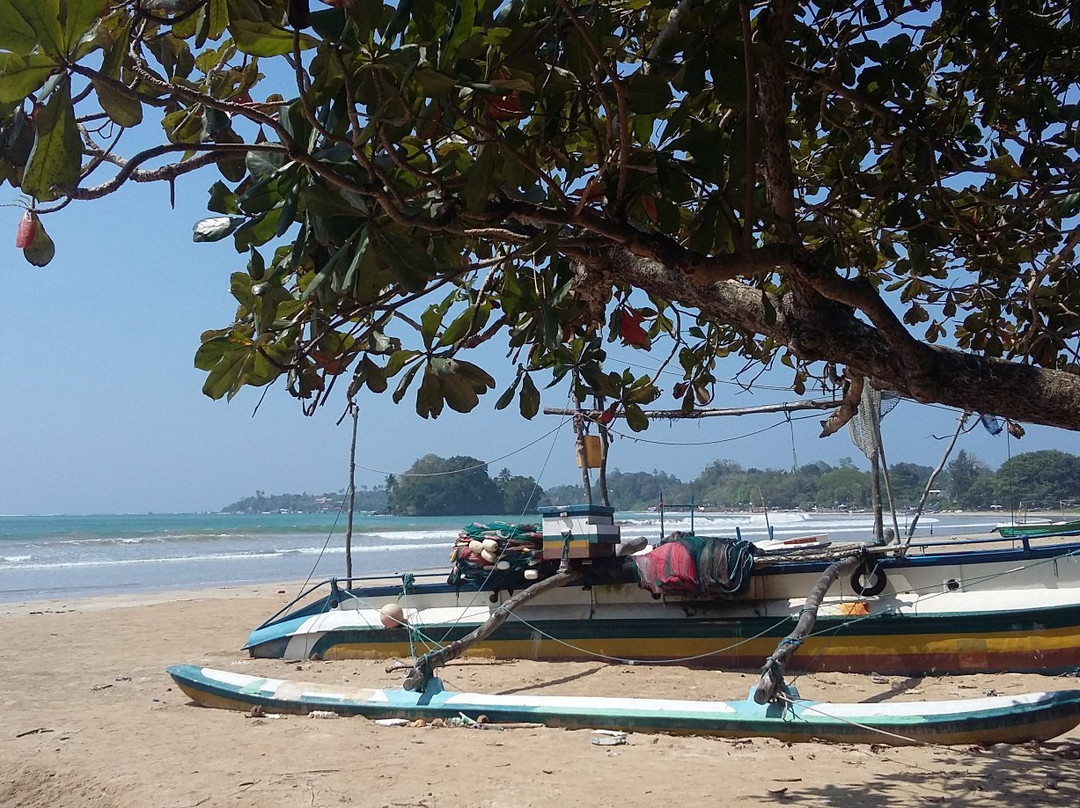 Nuwara Eliya Roots-奴娃拉伊利雅必去景点