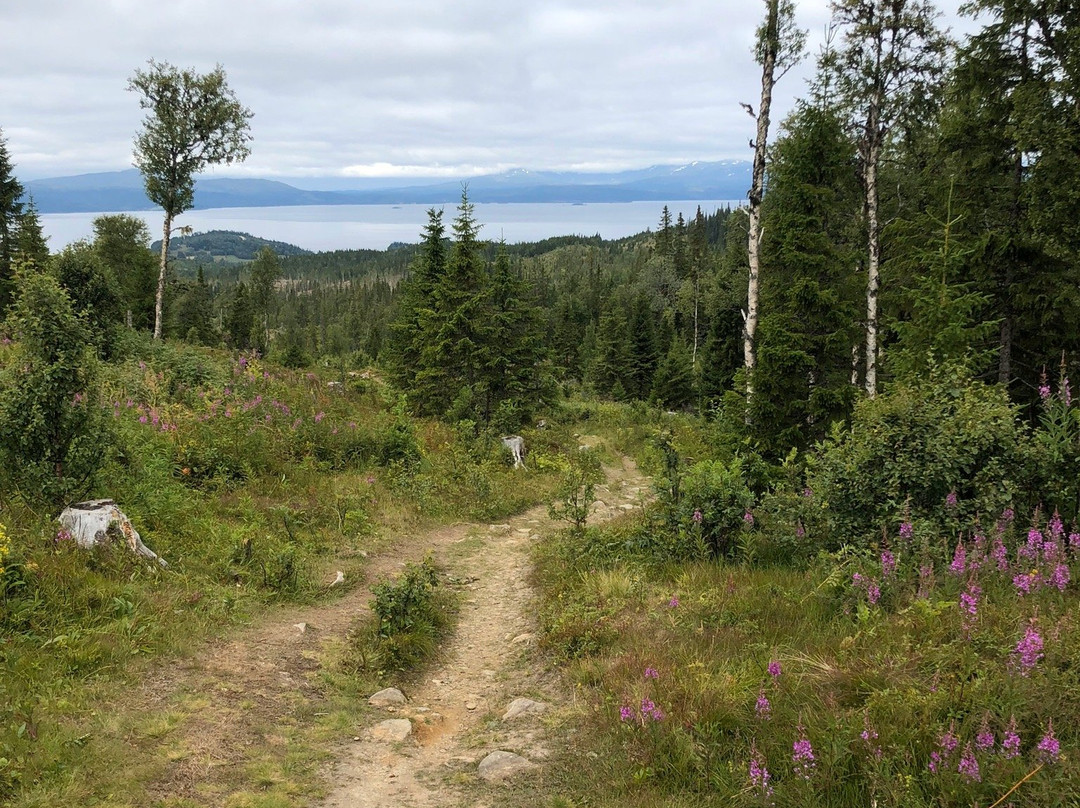 Suljätten-Kall必去景点