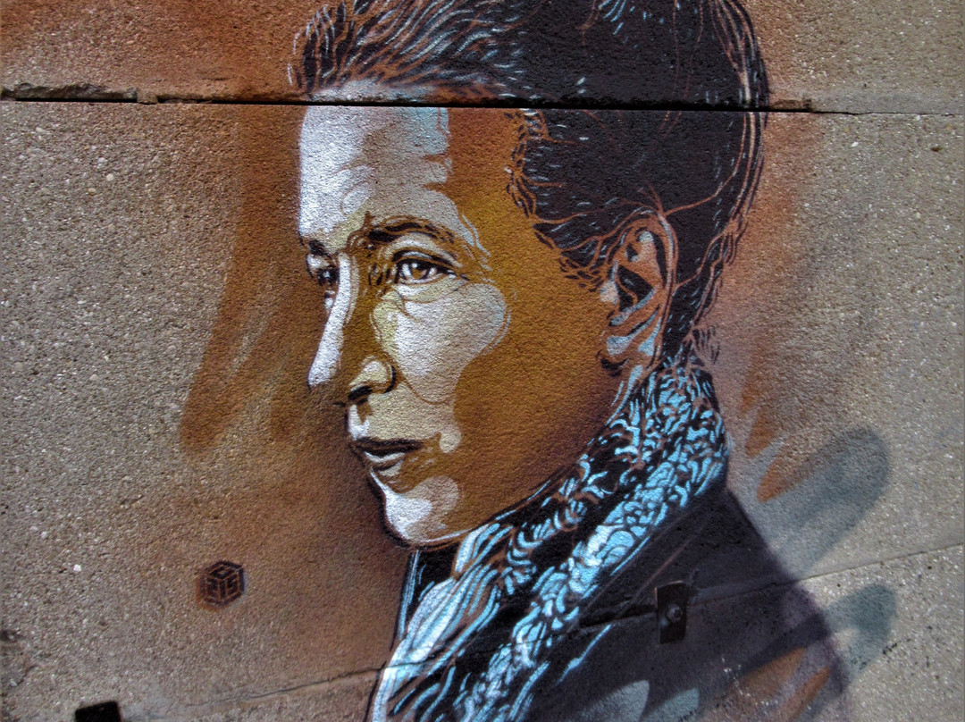 Fresque "Simone de Beauvoir"景点图片