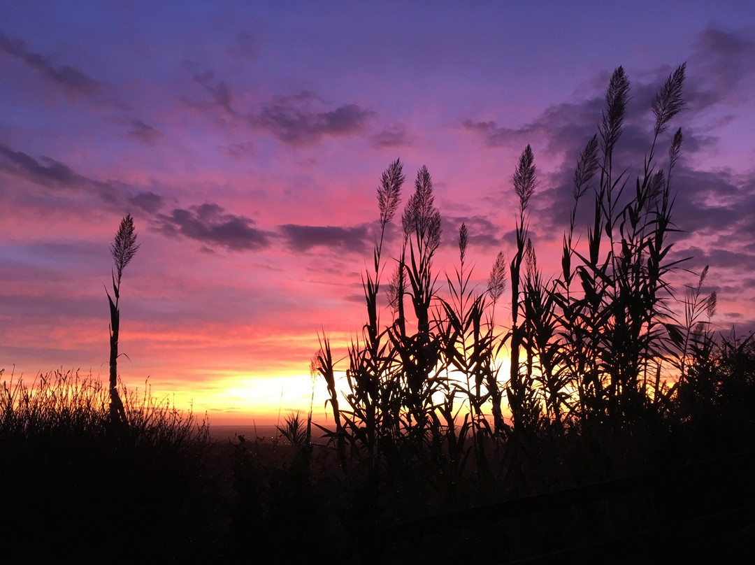 泰努塔谷斯马诺酒店主图