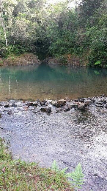 Off the Beaten Path PR-Juncos必去景点