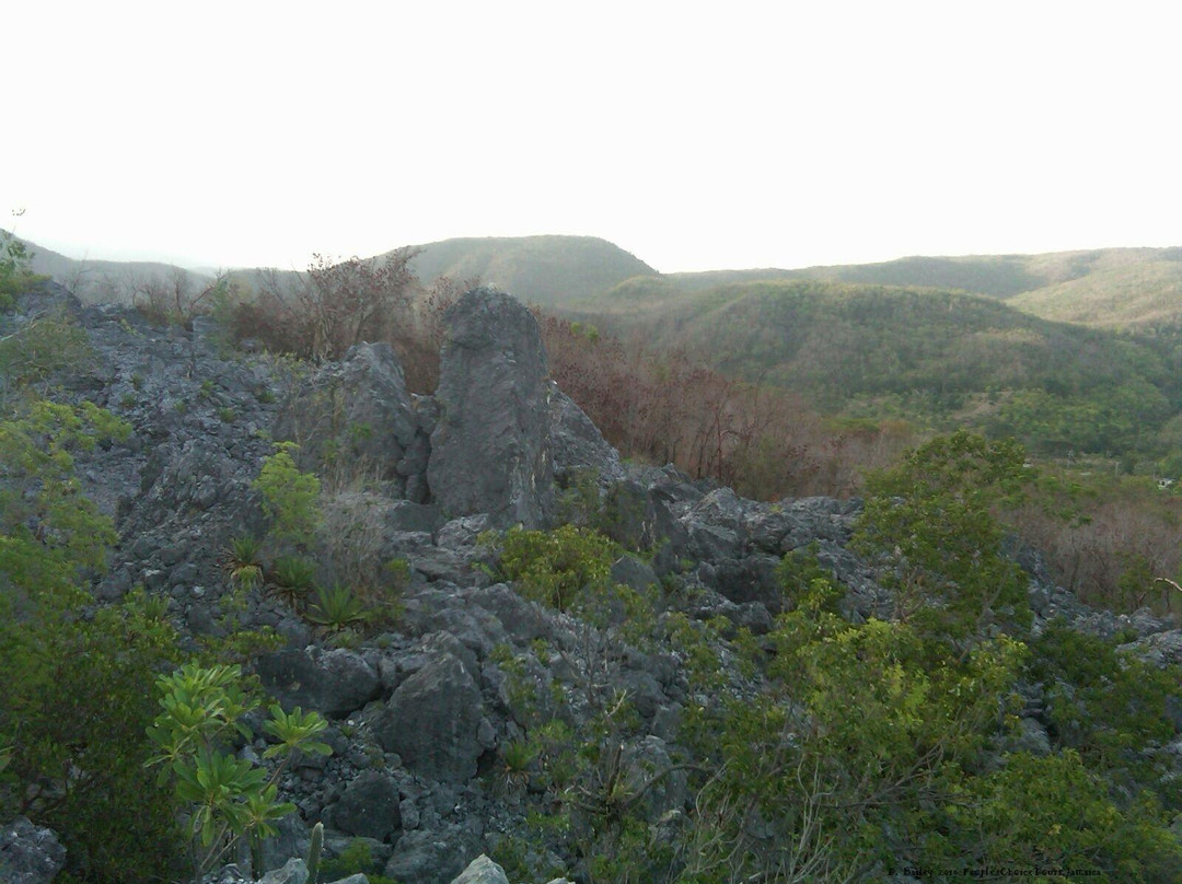 People's Choice Nature, Food and Hike Tours景点图片