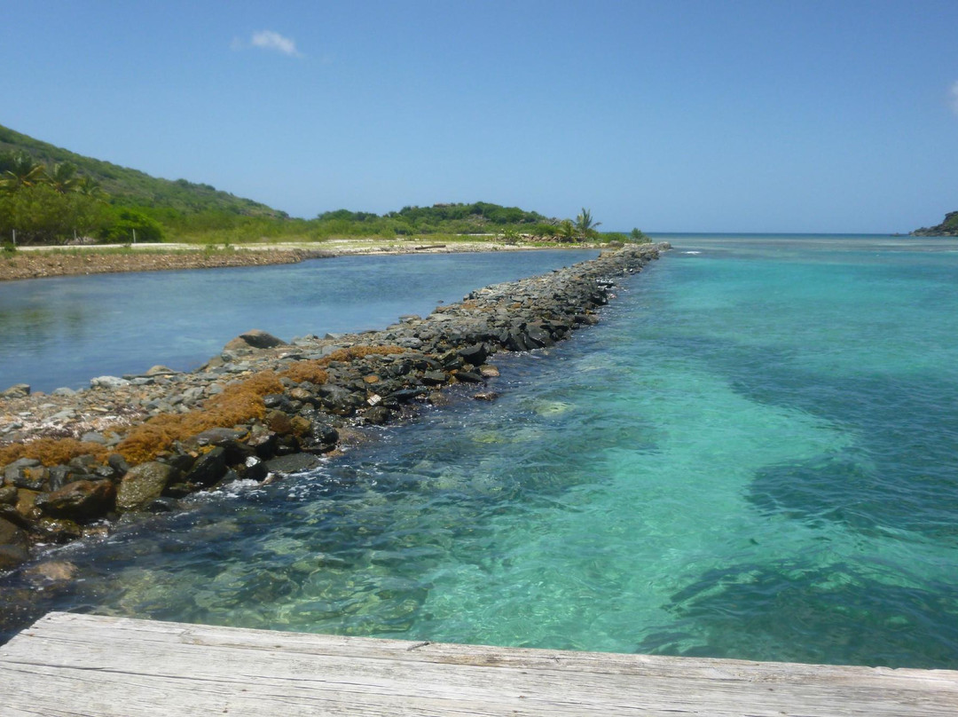 Pelican Beach Excursions-Coral Bay必去景点