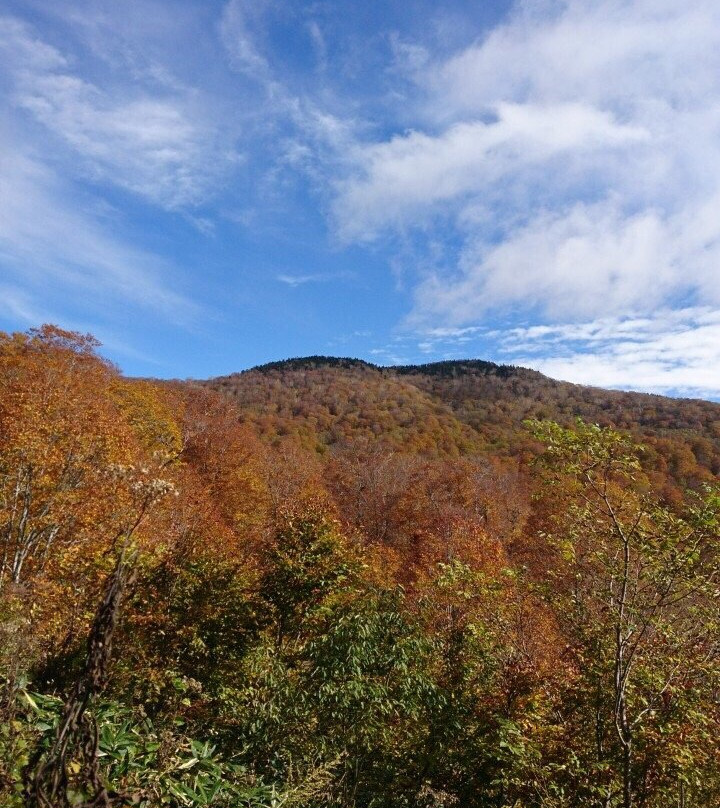 Teriha Valley景点图片