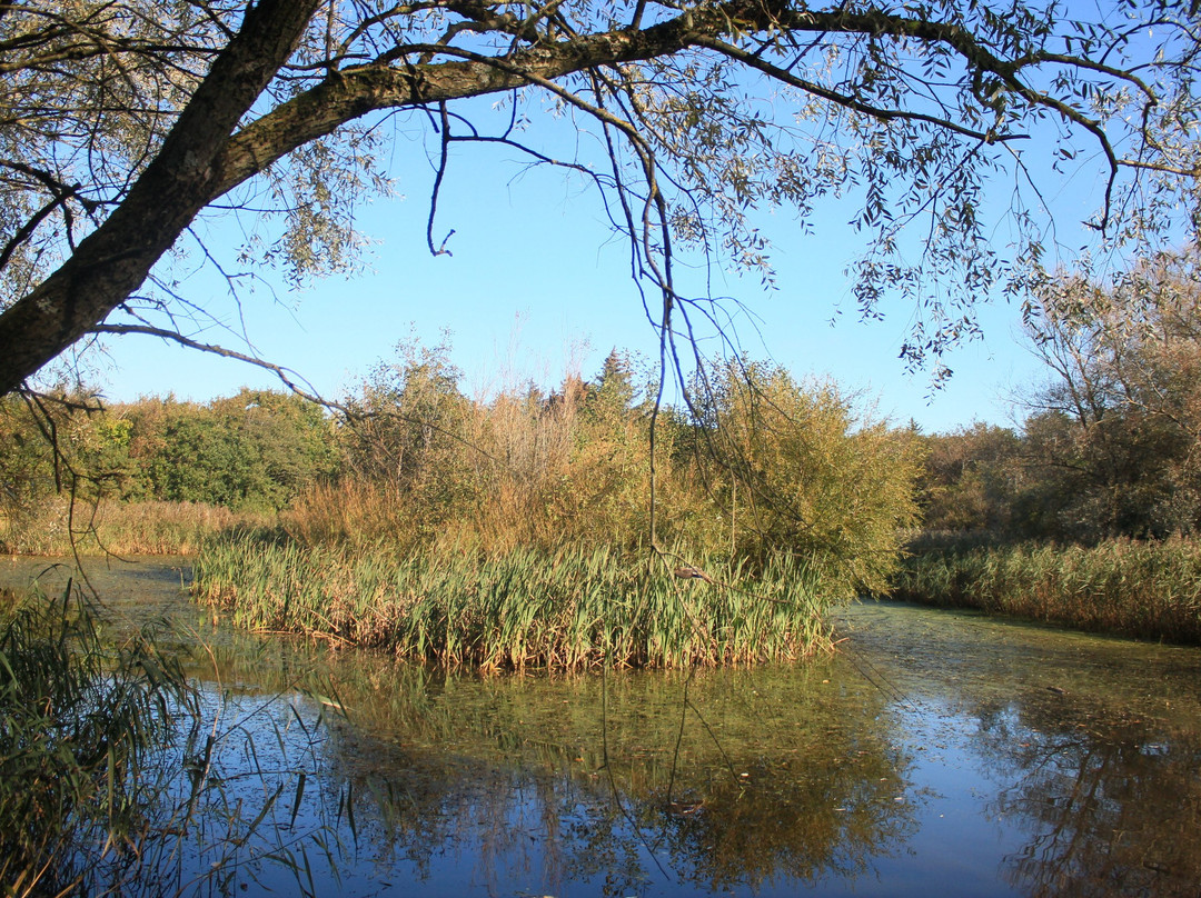 Folkeparken景点图片