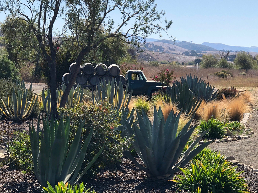 Dierberg Star Lane Vineyards-隆波克必去景点