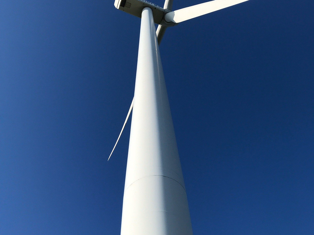 Windmill Farm景点图片