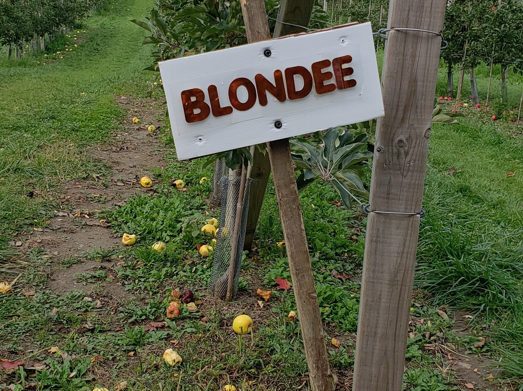 Nature's Bounty景点图片