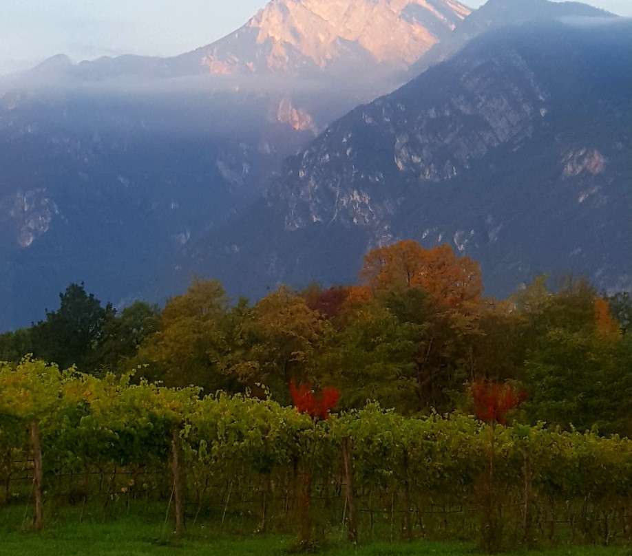 Agritur Ponte Alto主图