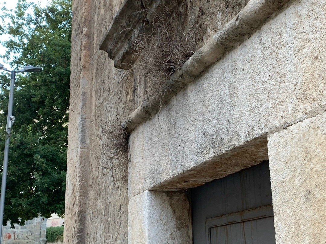 Cappelle Della Via Crucis-阿尔塔穆拉必去景点