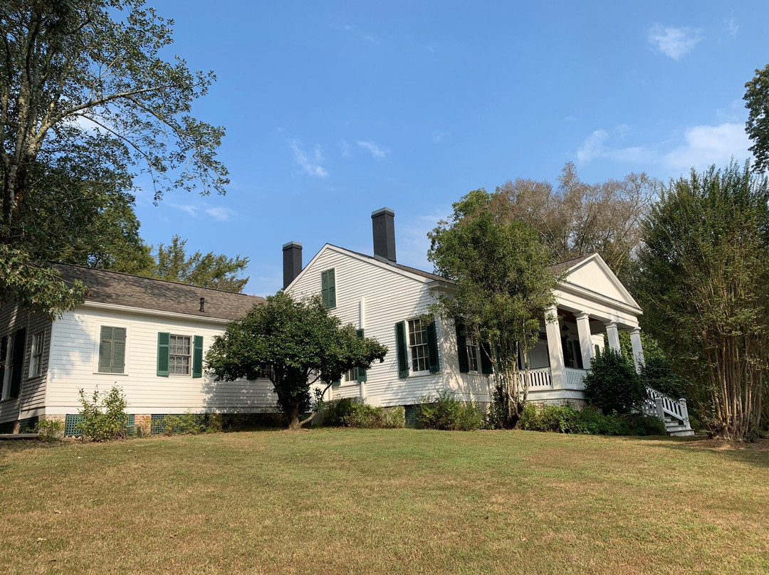 Collina House