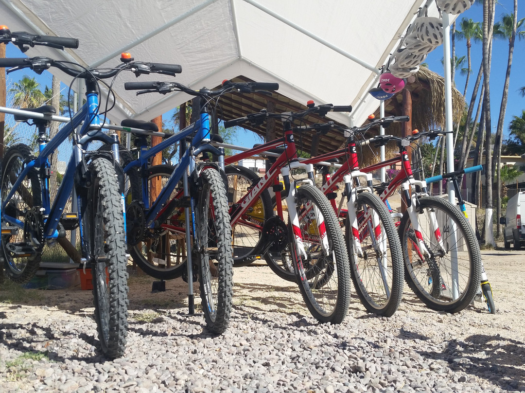 TIM Rent a Bike-拉巴斯必去景点