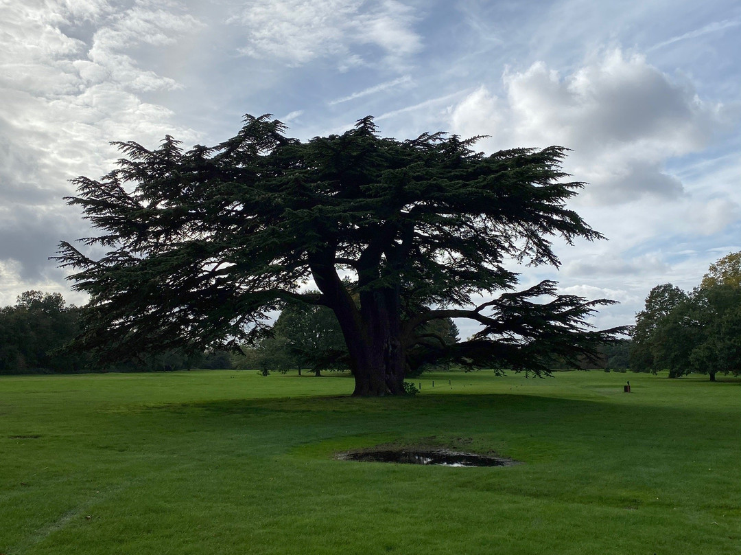 Royal Mid-Surrey Golf Club景点图片