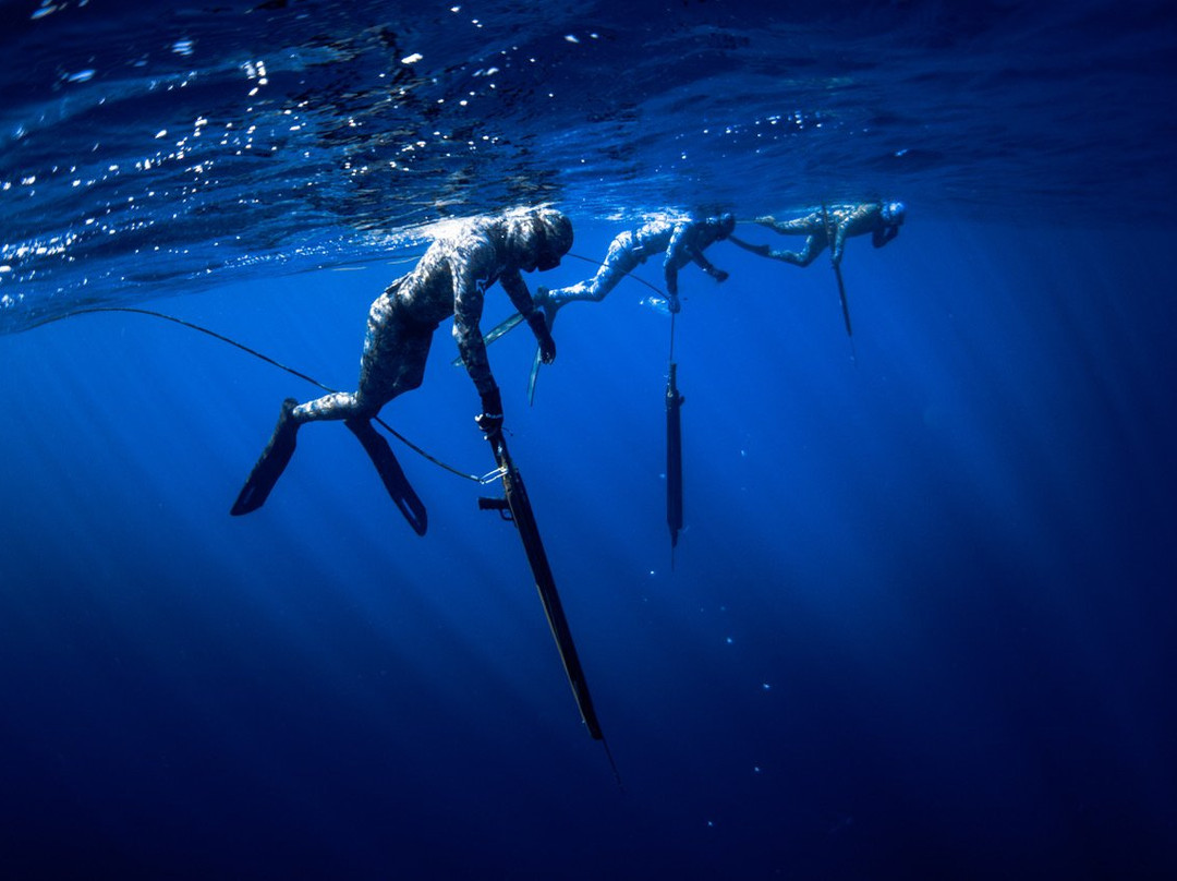 Spearmex-蓬塔米塔必去景点