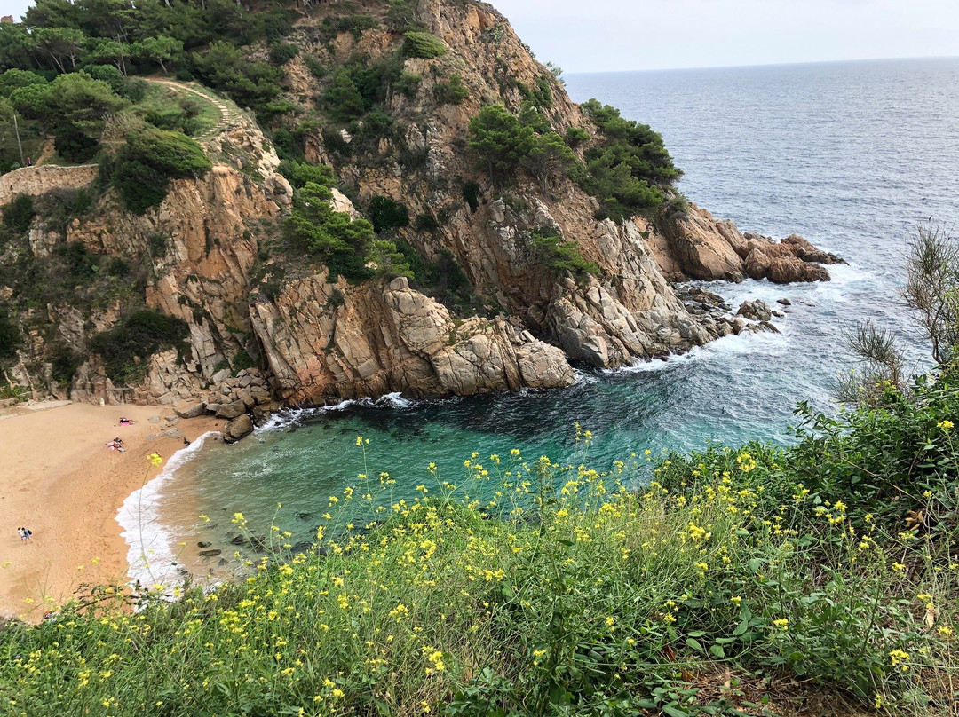 Platja d’es Codolar景点图片