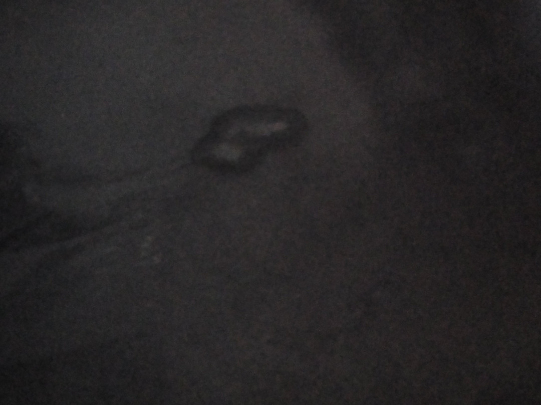 Hotel Terranova Suites主图