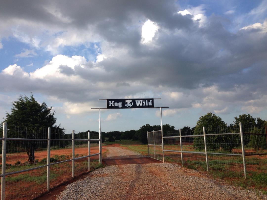 Hog Wild-Purcell必去景点